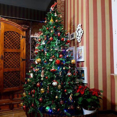 Bed and Breakfast Da Augusto Rom Exterior foto