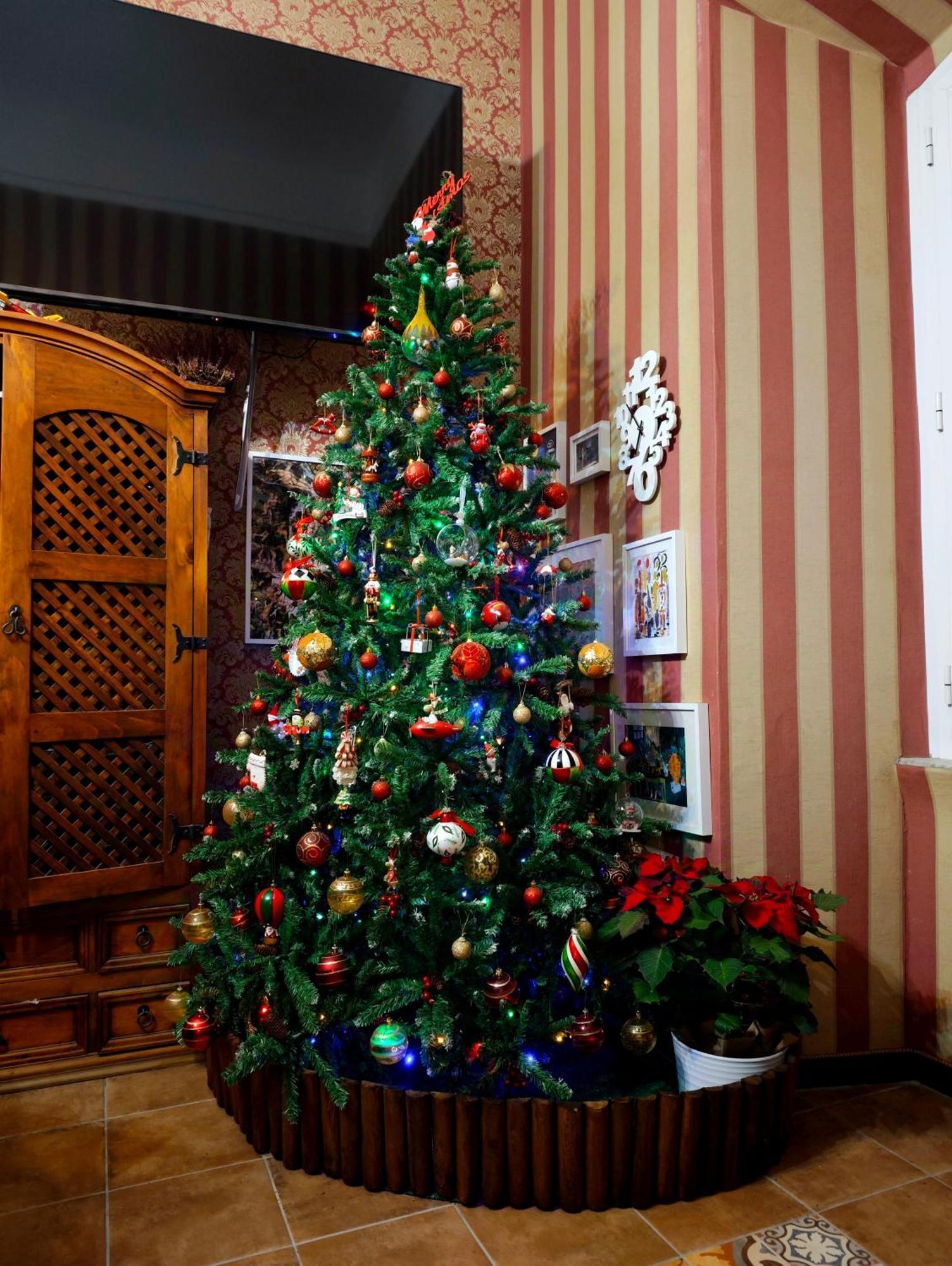 Bed and Breakfast Da Augusto Rom Exterior foto